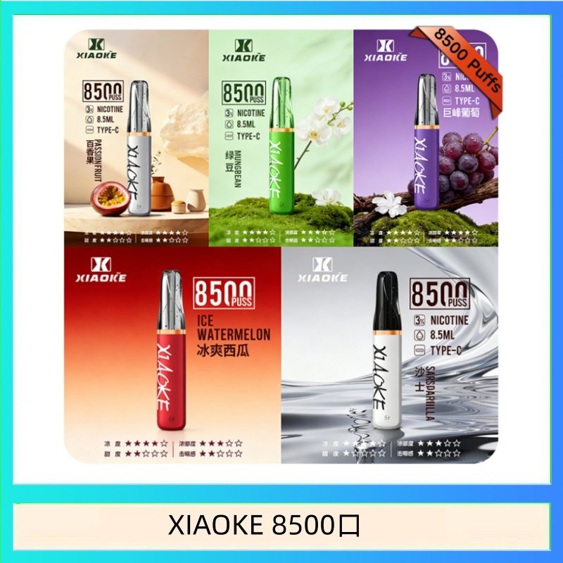 XIAOKE8500 梟客XIAOKE一次性電子菸拋棄式8500口